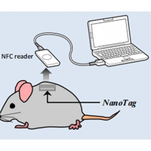 Kissei NanoTag 植入式活動檢測儀